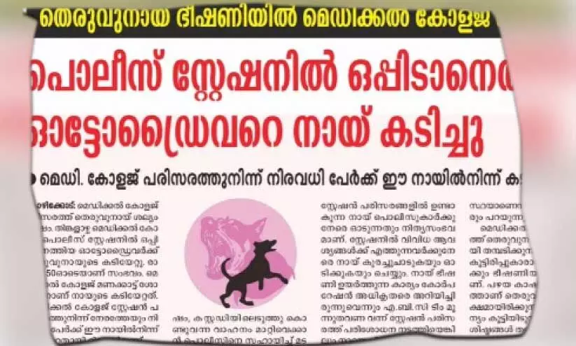 പൊലീസ് സ്റ്റേഷന് മുന്നിൽ തെരുവു നായുടെ കടിയേറ്റ സംഭവം: മനുഷ്യാവകാശ കമീഷൻ കേസെടുത്തു