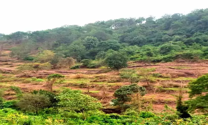 അ​ട്ട​പ്പാ​ടി​യി​ലെ 1932 പ​ട്ട​യ​ങ്ങ​ളു​ടെ   ഭൂ​മി എ​വി​ടെ?