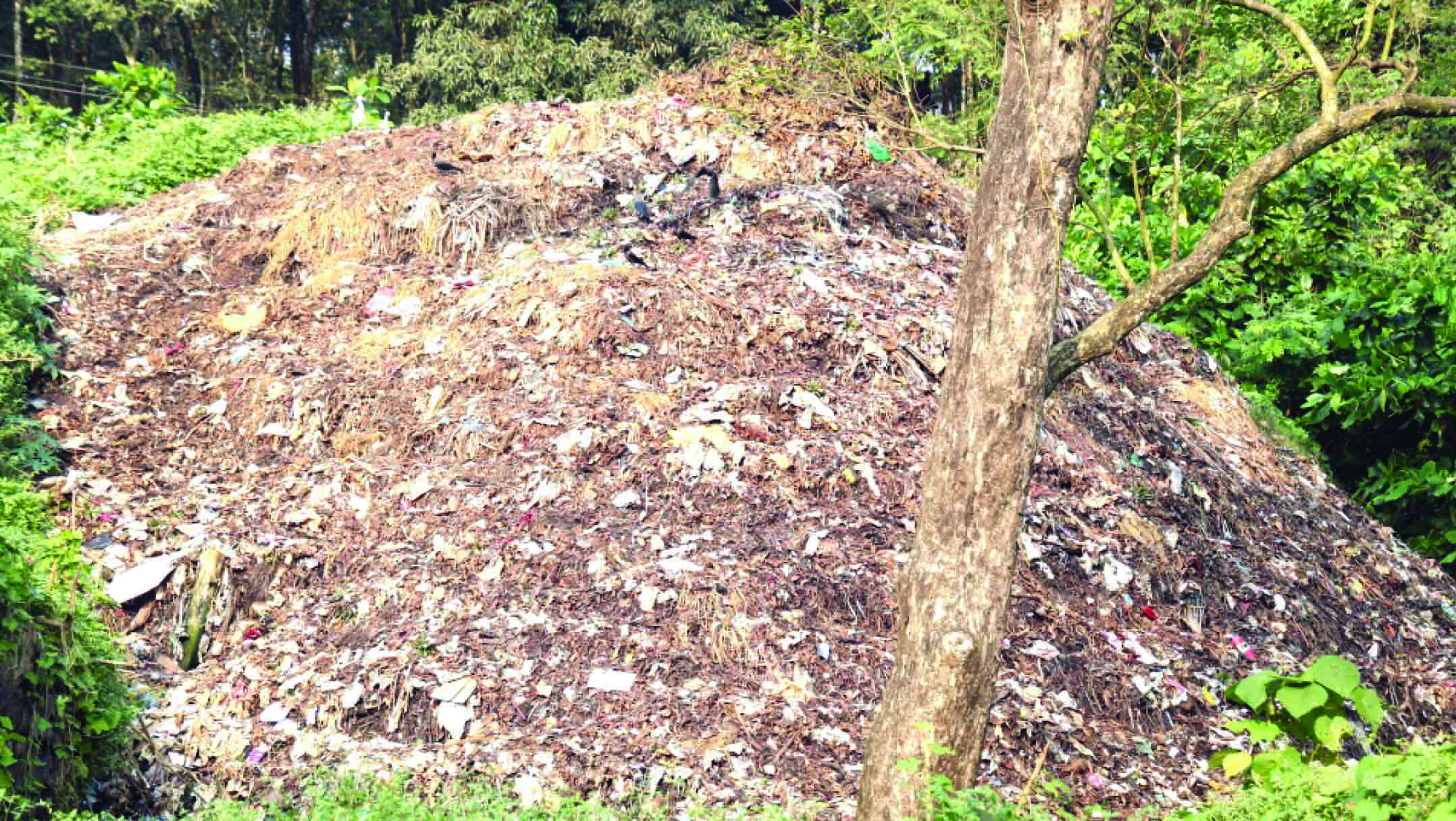 തൊടുപുഴ നഗരസഭയില് മാലിന്യ നീക്കം നിലച്ചു തൊടുപുഴ നഗരസഭയില് മാലിന്യ നീക്കം നിലച്ചു