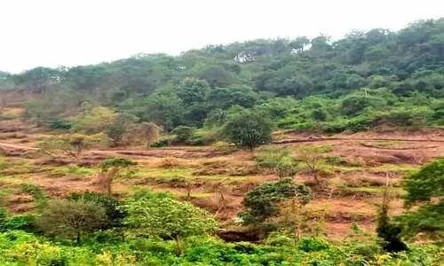 അ​ട്ട​പ്പാ​ടി​യി​ലെ 1932 പ​ട്ട​യ​ങ്ങ​ളു​ടെ   ഭൂ​മി എ​വി​ടെ?