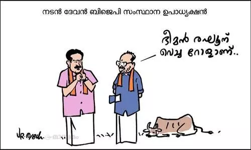 റോൾ