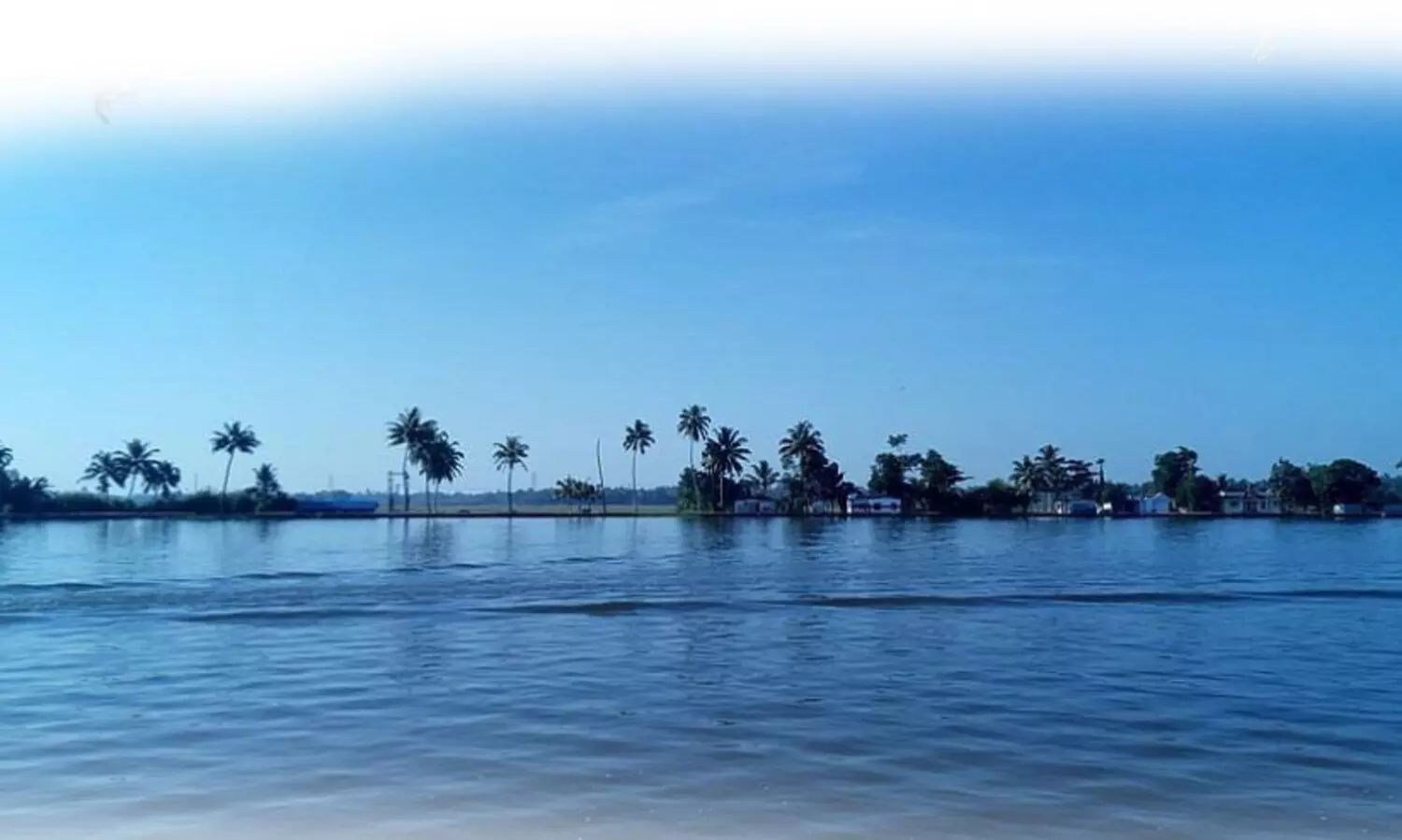 കാ​ടു​മൂ​ട​രു​ത് കാ​യം​കു​ള​ത്തി​ന്റെ സ്വ​പ്ന​ങ്ങ​ൾ