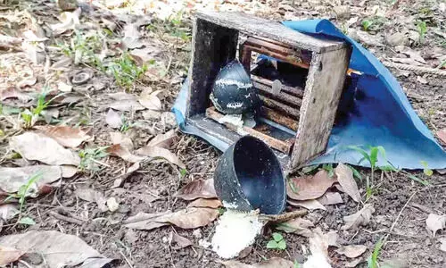 കരടിപ്പേടിയിൽ ടി.കെ കോളനി; ന​ട​പ​ടി വേ​ണ​മെ​ന്ന് നാ​ട്ടു​കാ​ർ