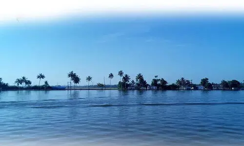 കാ​ടു​മൂ​ട​രു​ത് കാ​യം​കു​ള​ത്തി​ന്റെ സ്വ​പ്ന​ങ്ങ​ൾ