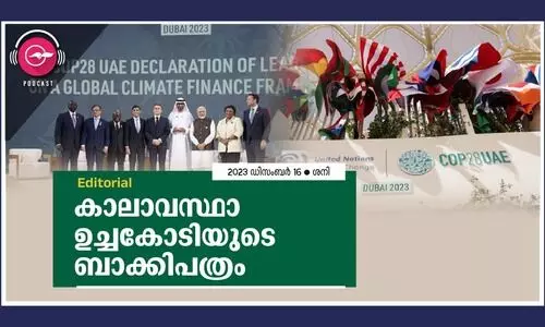 Dubai Climate Summit