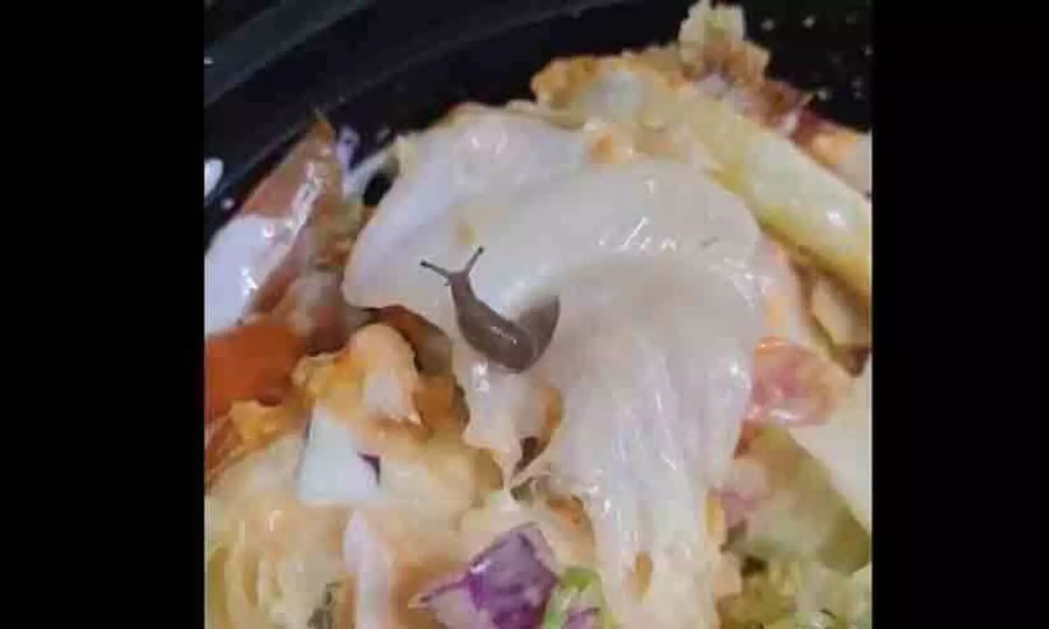 സ്വിഗ്ഗി വഴി ഓർഡർ ചെയ്ത സലാഡിൽ ഇഴഞ്ഞു നീങ്ങുന്ന ഒച്ച്; പരാതിയുമായി യുവാവ്