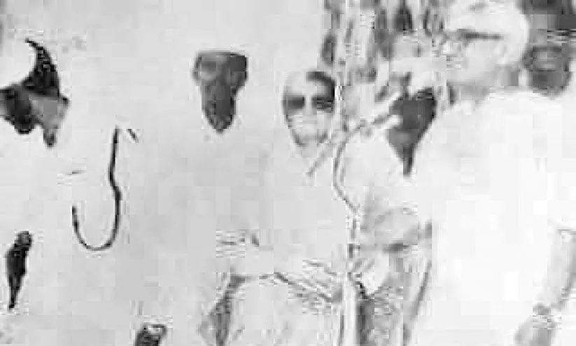 കെ.പി. വിശ്വനാഥൻ കെ.പി. വിശ്വനാഥൻ