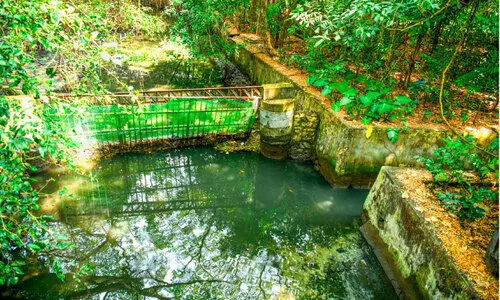 നഗരമാലിന്യം ഒഴുകിയെത്തുന്നു പരിസ്ഥിതി പ്രശ്നത്തിൽ മംഗളവനം