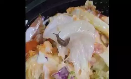 സ്വിഗ്ഗി വഴി ഓർഡർ ചെയ്ത സലാഡിൽ ഇഴഞ്ഞു നീങ്ങുന്ന ഒച്ച്; പരാതിയുമായി യുവാവ്