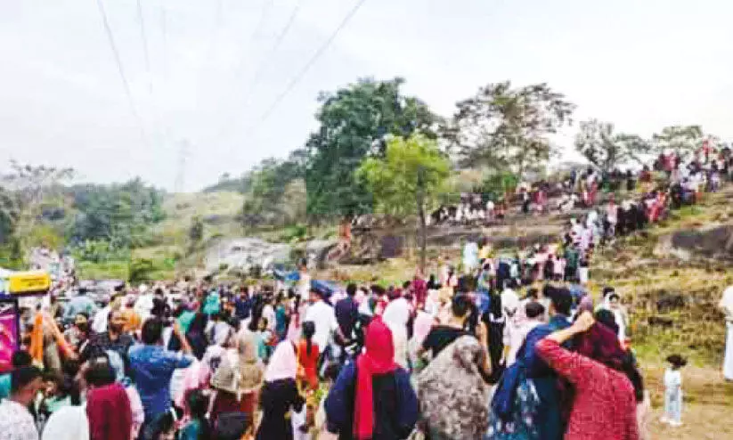 സഞ്ചാരികൾ നിറഞ്ഞ് ‘പൂങ്കാവനം’ സഞ്ചാരികൾ നിറഞ്ഞ് ‘പൂങ്കാവനം’