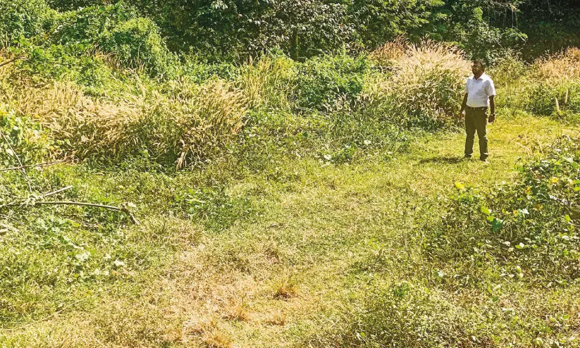 മ​ണ്ണൂ​രി​ൽ ക​ളി​ക്ക​ള​ത്തി​നാ​യി ക​ണ്ടെ​ത്തി​യ സ്ഥ​ലം കാ​ടു​മൂ​ടി; കാ​യി​ക പ്രേ​മി​ക​ൾ നി​രാ​ശ​യി​ൽ