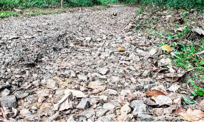 വെംബ്ലി-വാലേല്‍-ഉറുമ്പിക്കര   റോഡ് തകര്‍ന്നു