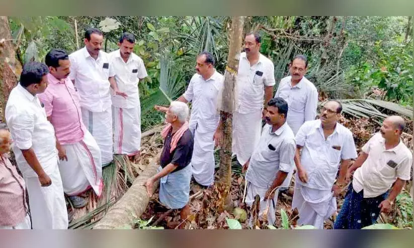 പു​ല്ലൂ​രാം​പാ​റ മേ​ലേ പൊ​ന്നാ​ങ്ക​യ​ത്ത് കാ​ട്ടാ​ന ന​ശി​പ്പി​ച്ചകൃ​ഷി​യി​ടം ക​ർ​ഷ​ക കോ​ൺ​ഗ്ര​സ് ജി​ല്ല നേ​താ​ക്ക​ൾ