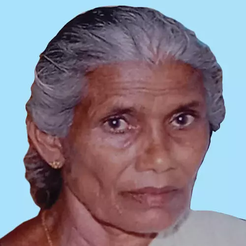 അ​ജ്ഞാ​ത വാ​ഹ​ന​മി​ടി​ച്ച് വ​യോ​ധി​ക മ​രി​ച്ചു