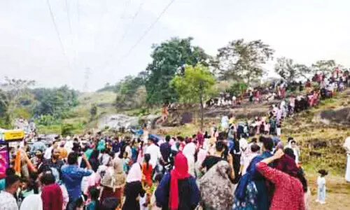 സഞ്ചാരികൾ നിറഞ്ഞ് ‘പൂങ്കാവനം’ സഞ്ചാരികൾ നിറഞ്ഞ് ‘പൂങ്കാവനം’