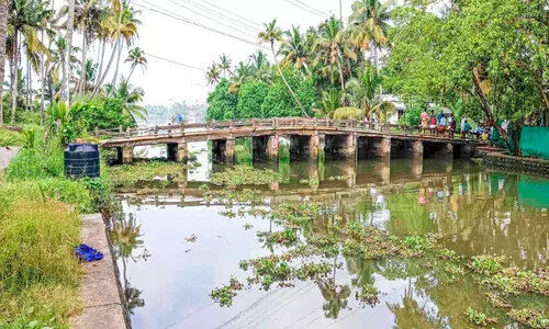 ആമ്പത്തോട് പാലം മണ്ണ് പരിശോധന; ടെൻഡര്‍ നടപടി പൂര്‍ത്തിയായി