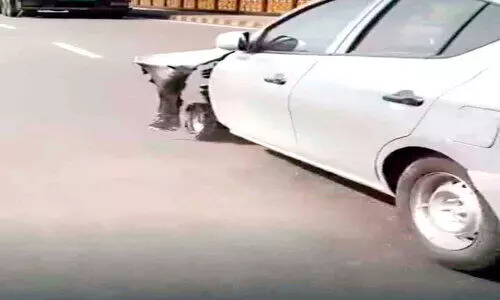 നാടിനെ വിറപ്പിച്ച് മുച്ചക്ര കാറോട്ടം; എട്ടു വാഹനങ്ങളിൽ ഇടിച്ചു; 11 പേർക്ക് പരിക്ക് നാടിനെ വിറപ്പിച്ച് മുച്ചക്ര കാറോട്ടം; എട്ടു വാഹനങ്ങളിൽ ഇടിച്ചു; 11 പേർക്ക് പരിക്ക്