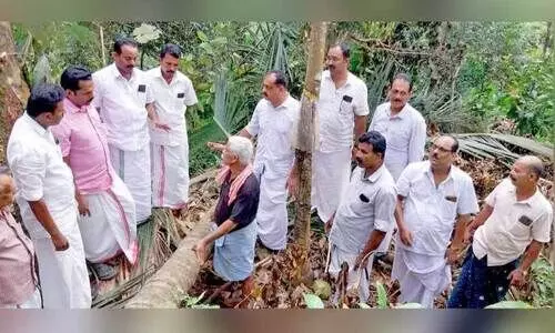 പു​ല്ലൂ​രാം​പാ​റ മേ​ലേ പൊ​ന്നാ​ങ്ക​യ​ത്ത് കാ​ട്ടാ​ന ന​ശി​പ്പി​ച്ചകൃ​ഷി​യി​ടം ക​ർ​ഷ​ക കോ​ൺ​ഗ്ര​സ് ജി​ല്ല നേ​താ​ക്ക​ൾ