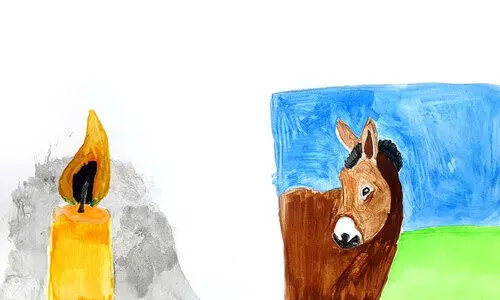 സ​ഹ​ചാ​രി​ക​ളു​ടെ നൊ​മ്പ​ര​ങ്ങ​ൾ