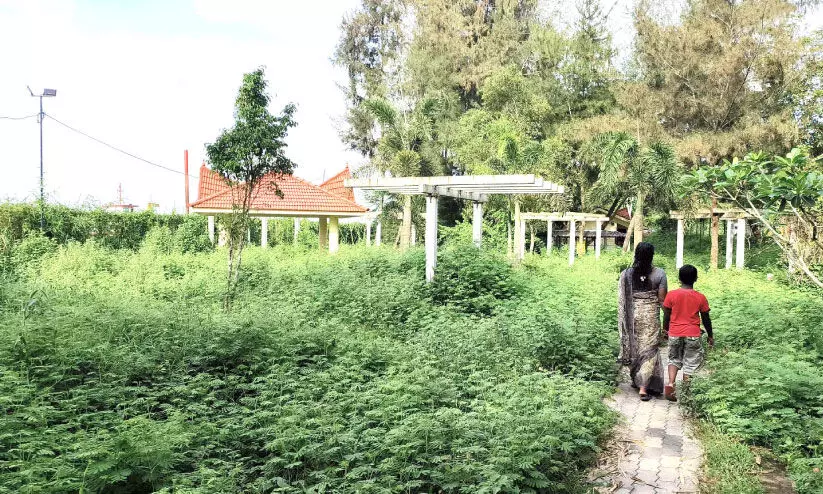 കാടായി തോട്ടപ്പള്ളിയിലെ പാർക്ക്​; ‘ഓടിക്കളിച്ച്​’ ഇഴജന്തുക്കൾ