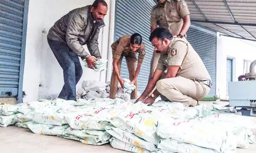 ആഘോഷക്കാലം ലക്ഷ്യമിട്ട്​ ലഹരി മാഫിയ; അതിർത്തി മേഖലകൾ വഴി കഞ്ചാവ്​, സ്പിരിറ്റ്​ കടത്ത്