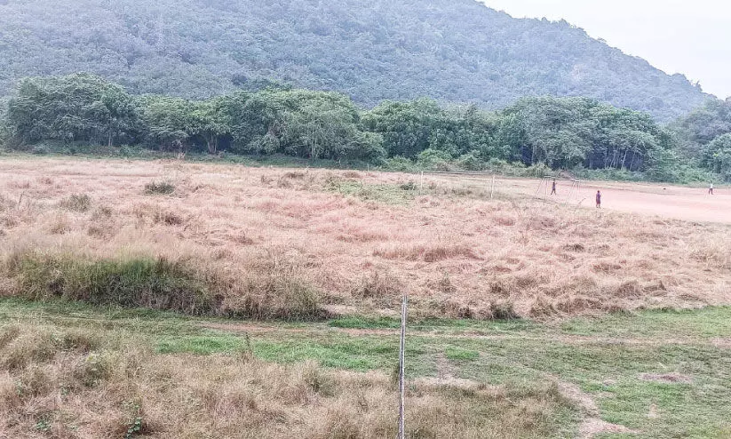 college campus college campus