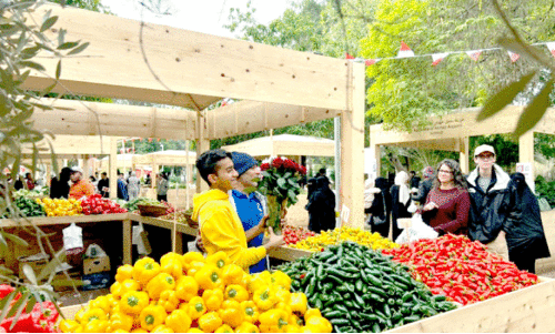 ബഹ്റൈൻ ഫാർമേഴ്സ് മാർക്കറ്റ് ബഹ്റൈൻ ഫാർമേഴ്സ് മാർക്കറ്റ്