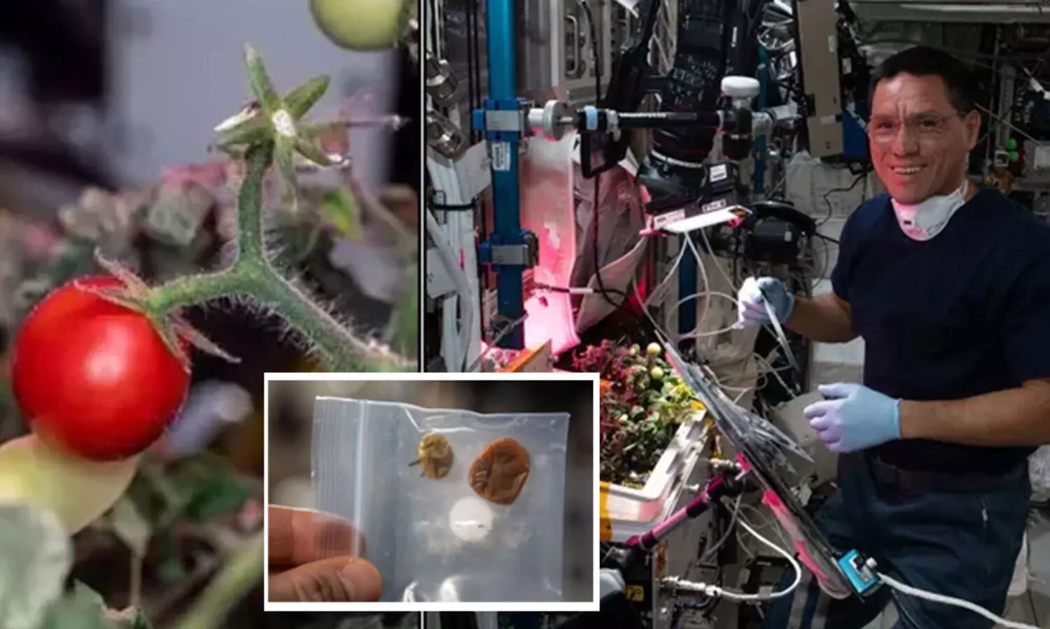 ബഹിരാകാശ നിലയത്തിൽ വെച്ച് അപ്രത്യക്ഷമായ ‘തക്കാളി’ കണ്ടെത്തി; ദൃശ്യങ്ങൾ പുറത്തുവിട്ട് നാസ