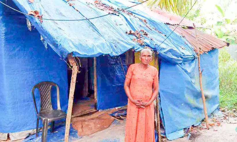 വീടാണ്​ സ്വപ്നം; കാരുണ്യം കാത്ത്​ സുഭാഷിണി