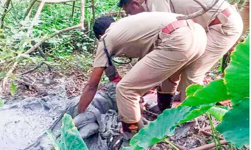 ചതുപ്പില്‍ വീണ വയോധികക്ക് പുതുജീവന്‍