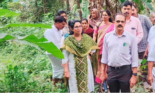 ചോറോട് കല്ലറക്കൽ തോട് നവീകരണം; 1.5 കോടിയുടെ പ്രവൃത്തികൾക്ക് അനുമതി