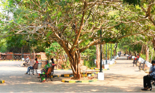 നാടൻ രുചിവൈവിധ്യവുമായി  സരോവരത്ത് മോഡേൺ  ഫുഡ് സ്ട്രീറ്റിന് പദ്ധതി