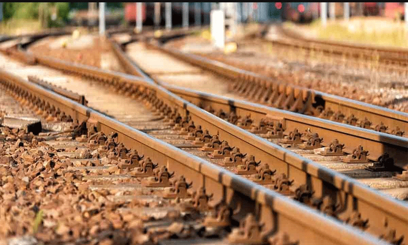 ശബരി പദ്ധതിക്ക് അനുവദിച്ച 100 കോടി രൂപ സ്ഥലമെടുപ്പിന് നൽകണം -എം.പിമാർ