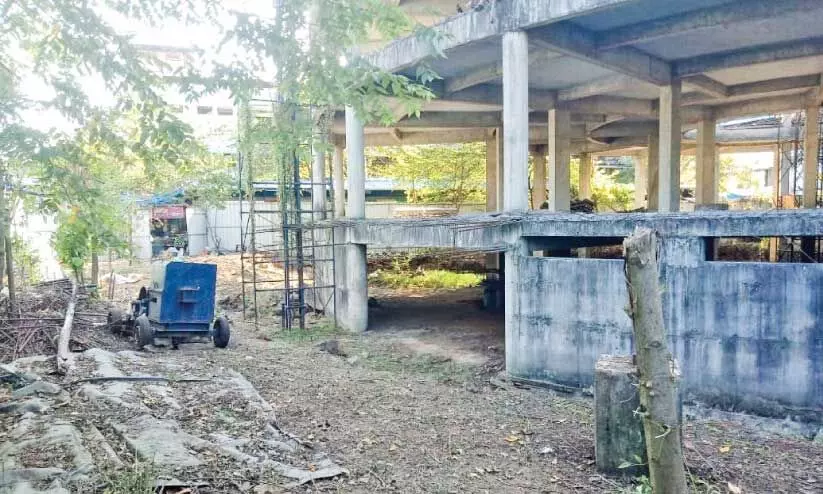 കോട്ടപ്പടി മാർക്കറ്റ് നിർമാണം പുനരാരംഭിക്കുന്നതിന്റെ ഭാഗമായി സ്ഥലത്തെ കാടുവെട്ടി വൃത്തിയാക്കിയ നിലയിൽ കോട്ടപ്പടി മാർക്കറ്റ് നിർമാണം പുനരാരംഭിക്കുന്നതിന്റെ ഭാഗമായി സ്ഥലത്തെ കാടുവെട്ടി വൃത്തിയാക്കിയ നിലയിൽ