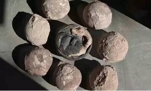 മധ്യപ്രദേശിലെ കുടുംബം വർഷങ്ങളോളം കുലദേവതയായി ആരാധിച്ചത് ദിനോസർ മുട്ടയെ...