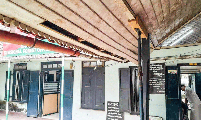 കോന്നി ഡി.എഫ്.ഒ ഓഫിസ് നിലംപൊത്താറായി; ‘കാവലാ’യി മരപ്പട്ടികളും