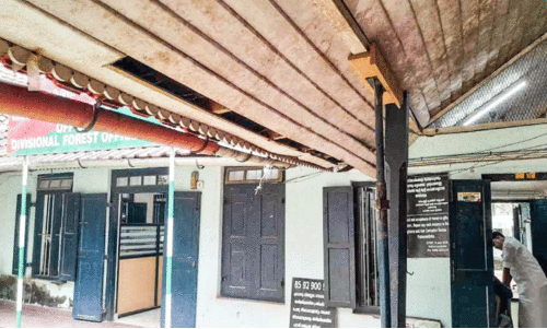 കോന്നി ഡി.എഫ്.ഒ ഓഫിസ് നിലംപൊത്താറായി; ‘കാവലാ’യി മരപ്പട്ടികളും