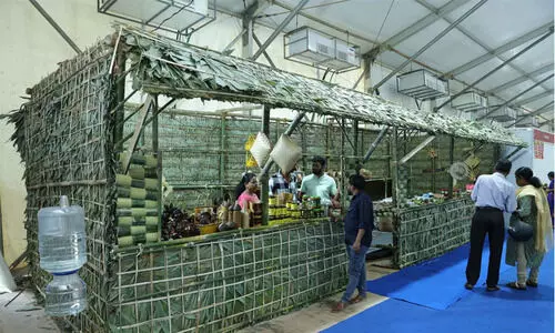 ദേശീയ സരസ് മേള: കാട്ടുതേൻ മുതൽ ഗന്ധകശാല അരി വരെ; വനവിഭവങ്ങൾ ഒരു കുടക്കീഴിൽ