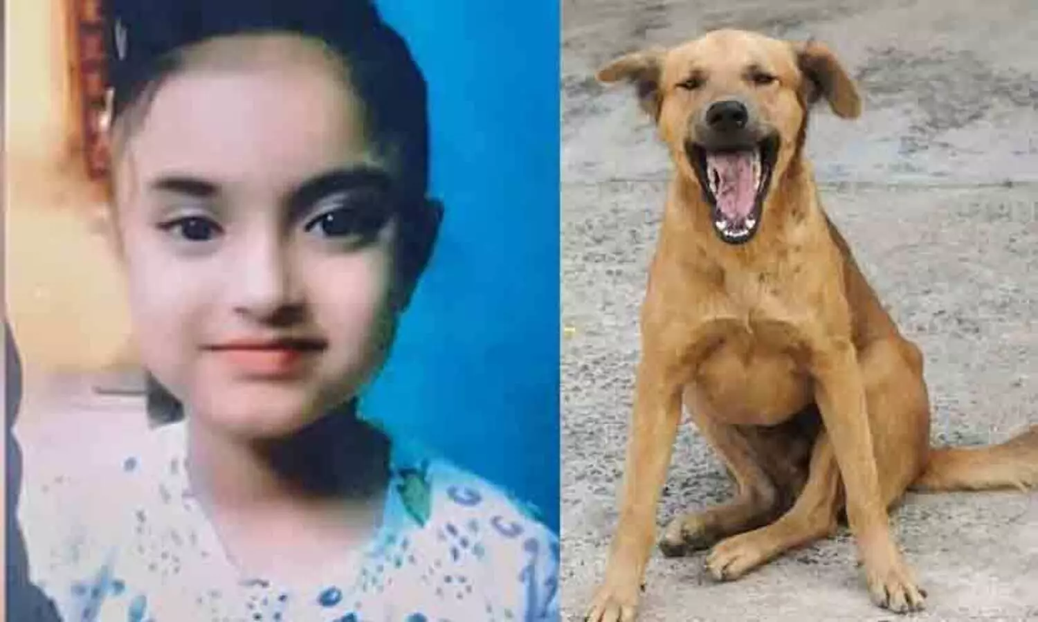 10 year old girl dies of silent heart attack after being chased by stray dog