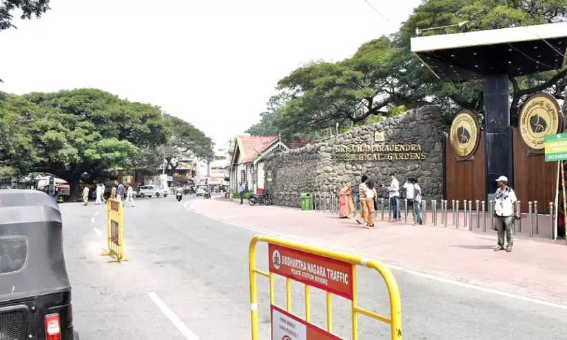 മൈസൂരു മൃഗശാല പരിസരം മൈസൂരു മൃഗശാല പരിസരം