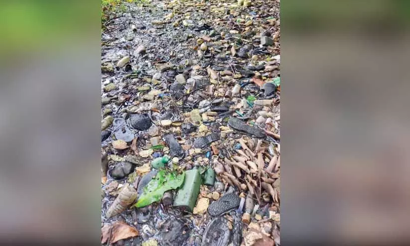 മലിനമയമായ ഊർപായി ചിറ മലിനമയമായ ഊർപായി ചിറ