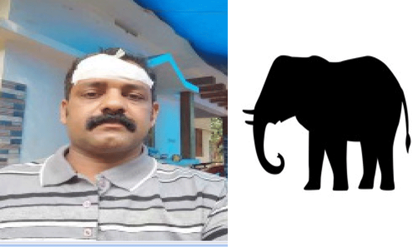 വീണ്ടും ആറളം ഫാമിൽ ആനക്കലി