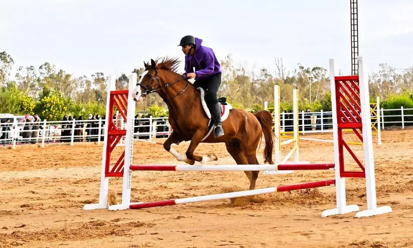 സൗദിയിലെ ആദ്യ ഹോഴ്സ് ജംപിങ് ചാമ്പ്യൻഷിപ്പിന് തുടക്കം സൗദിയിലെ ആദ്യ ഹോഴ്സ് ജംപിങ് ചാമ്പ്യൻഷിപ്പിന് തുടക്കം