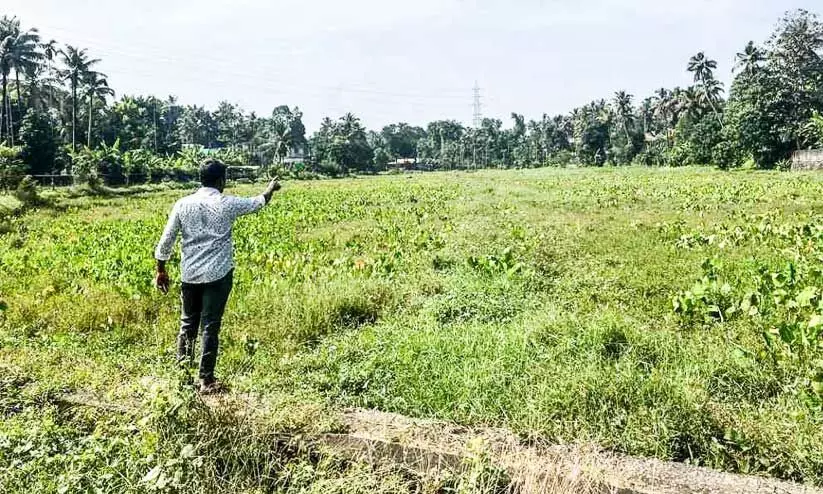 നെല്ലിന്റെ പണം കിട്ടിയില്ല;കൃഷിയിറക്കാതെ കളത്തിപ്പാടം കാടുകയറുന്നു നെല്ലിന്റെ പണം കിട്ടിയില്ല;കൃഷിയിറക്കാതെ കളത്തിപ്പാടം കാടുകയറുന്നു