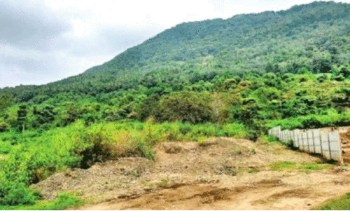 കിനാലൂരിലെ എയിംസ് സ്വപ്നം വീണ്ടും കോൾഡ് സ്റ്റോറേജിലേക്ക്