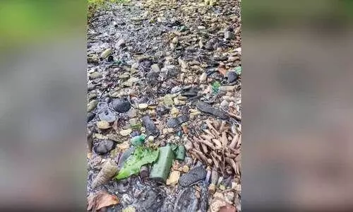 മ​ലി​ന​മ​യ​മാ​യ ഊ​ർ​പാ​യി ചി​റ