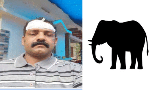 വീണ്ടും ആറളം ഫാമിൽ ആനക്കലി