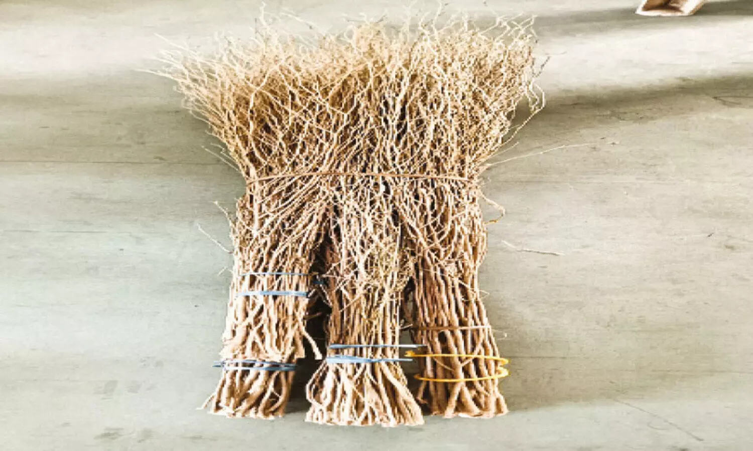 ദേ​ശീ​യ എ​ക്സി​ബി​ഷ​ൻ: നി​ല​മ്പൂ​രി​ലെ ഗോ​ത്ര​വ​ർ​ഗ​ക്കാ​രു​ടെ കു​റു​ന്തോ​ട്ടി​ചൂ​ൽ ഉ​ൾ​പ്പെ​ടെ കാ​ഴ്ച​ക​ളാ​വും