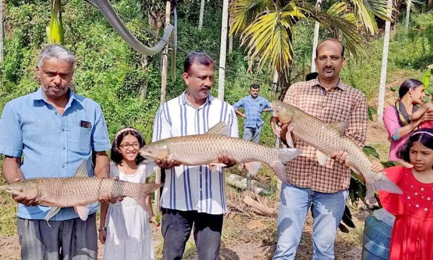 മീൻ വേണോ, മീൻ! മ​ത്സ്യ​കൃ​ഷി​യി​ൽ വി​ജ​യം കൊ​യ്ത് ക​ർ​ഷ​ക​ൻ
