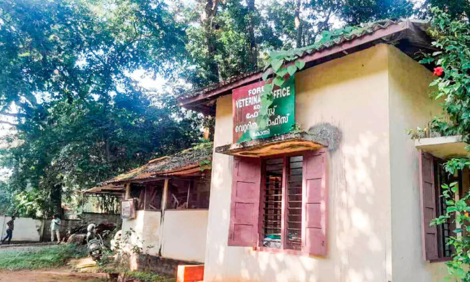 വനം വകുപ്പ് അസി.വെറ്ററിനറി ഓഫിസ് നിലം പൊത്താറായ അവസ്ഥയിൽ